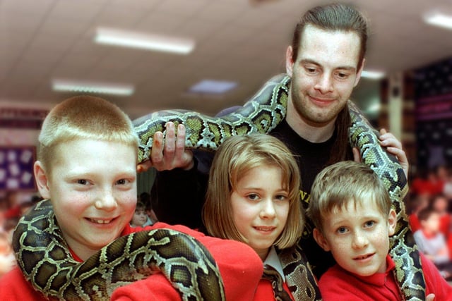 Garstang CP School pupils, from left; Jeffrey Harrison, seven, Sarah Helme, 10, and Luke Jarvis, eight, get to grips with two pythons, Popeye and Bubbles, from the Creepy Crawly Roadshow, watched by handler, Mike Farrar