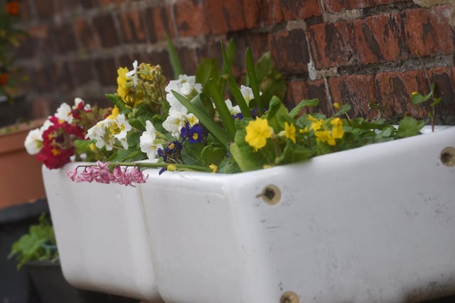 A group of residents have created a community garden in their alleyway called Strawberry Gardens
