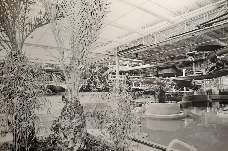 A scene from inside during the 1980s. very tropical looking - do you remember the Sandcastle when it looked like this?