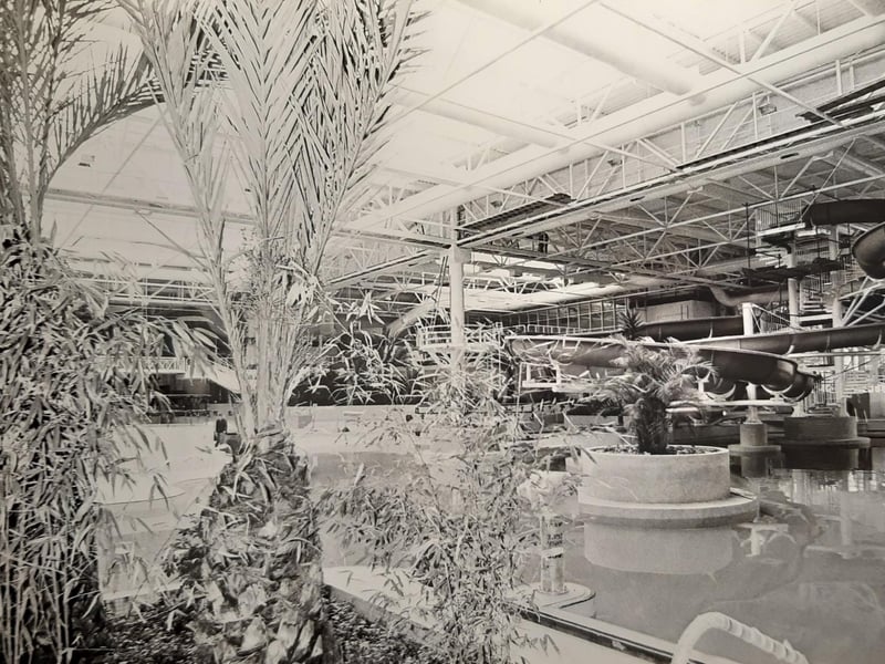 A scene from inside during the 1980s. very tropical looking - do you remember the Sandcastle when it looked like this?