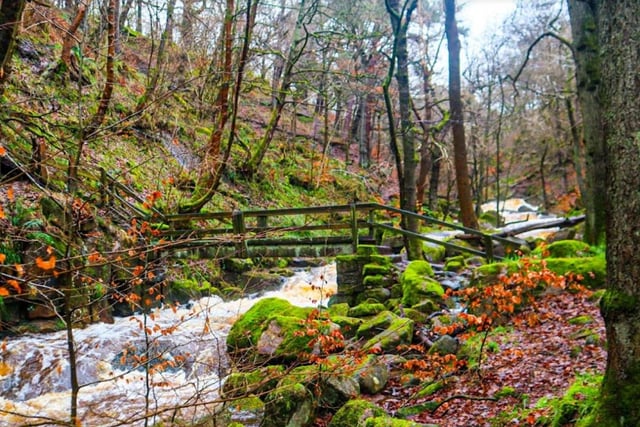 Padley Gorge is a wooded area with a few shortcuts and winding paths, so watch your footing. However, it's a relatively short journey. A key attraction of this trail is the famous Grindleford Cafe, which is a fantastic place to put your feet up after a hike.