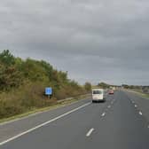The M55 eastbound was closed following reports of "animals on the carriageway" (Credit: Google)