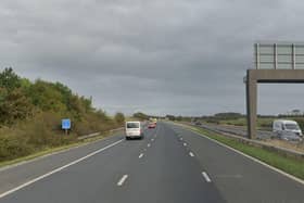 The M55 eastbound was closed following reports of "animals on the carriageway" (Credit: Google)