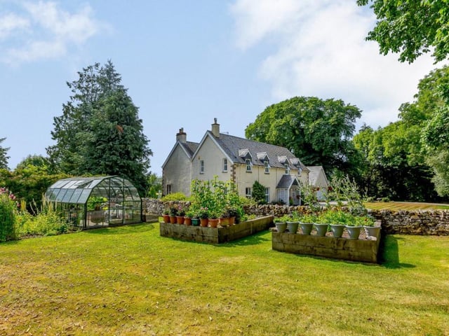 Vegetable garden.