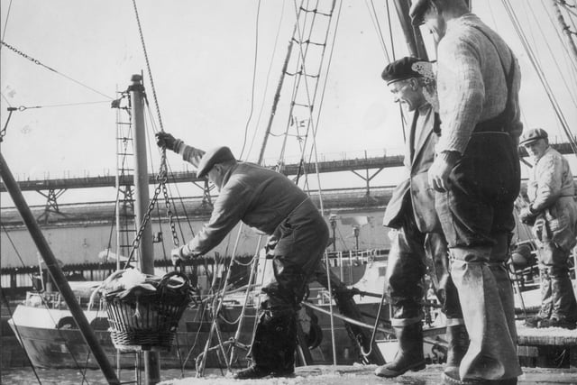 Fleetwood Docks of yesteryear - trawlermen are pictured at work. Unloading fish are Roy Clark, Frank Thornton, Bill Gawne and, just visible at the back, Nils Hanson. This was mid to late 60s