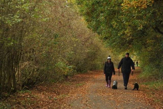 Cuerden Valley Park is 650 acres of greenery for you to explore, discover and relax in, with the River Lostock meandering through. It is close to junction 29 of the M6, between Preston and Chorley and wonderful for walks