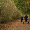 Cuerden Valley Park is 650 acres of greenery for you to explore, discover and relax in, with the River Lostock meandering through. It is close to junction 29 of the M6, between Preston and Chorley and wonderful for walks