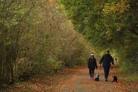 Cuerden Valley Park is 650 acres of greenery for you to explore, discover and relax in, with the River Lostock meandering through. It is close to junction 29 of the M6, between Preston and Chorley and wonderful for walks