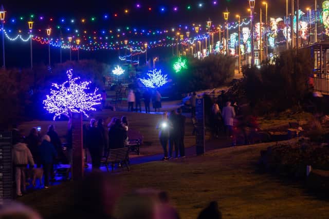 Illuminations switch on at Jubilee Gardens near Gynn Square