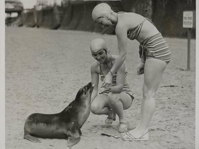 Pals Of The Beach. These girls from Tower Circus make quite a pet of 'Pal' a young seal on the beach
