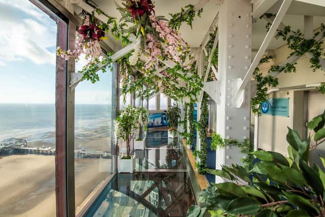 Blackpool Tower Sky Garden features orchids, palm trees, pink cherry blossoms and lilies