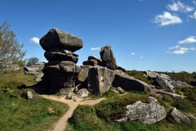 Brimham Rocks.