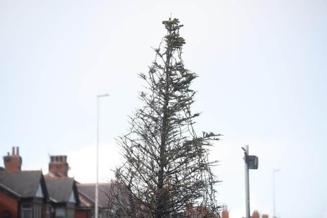 The Christmas tree in Blackpool's Oxford Square