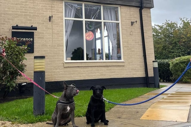 The Bellflower is situated in Garstang where there are plenty of lengthy walks close by, so before or after you and your pet indulge in a tasty treat you can get your steps up first. Just maybe wait until the rain has passed!