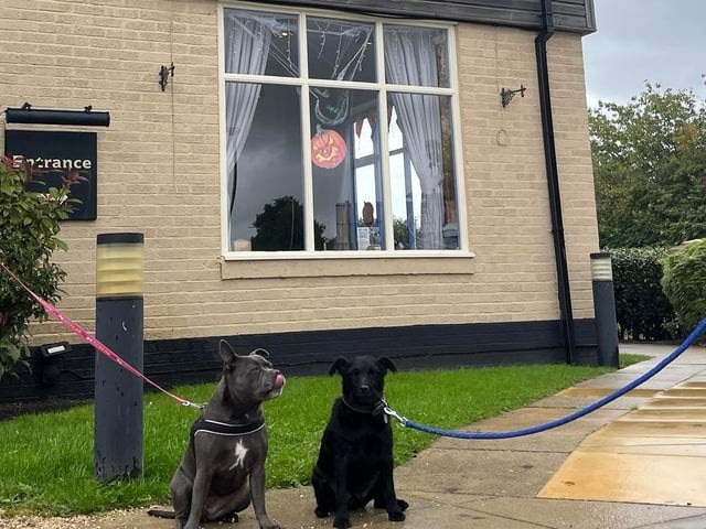 The Bellflower is situated in Garstang where there are plenty of lengthy walks close by, so before or after you and your pet indulge in a tasty treat you can get your steps up first. Just maybe wait until the rain has passed!
