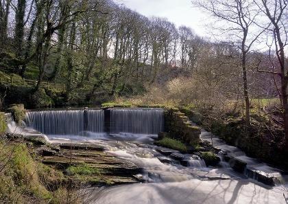 Situated just past Birkacre Garden Centre as you come out of Coppull towards Chorley, the country park is a haven for wildlife and the scenery is simply stunning.