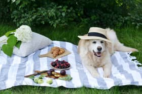 Enjoy the sunshine whilst it’s here with a picnic in the glorious Lancashire countryside