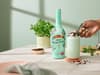 Shake things up with Baileys new limited-edition flavour: Mint Choc Shake