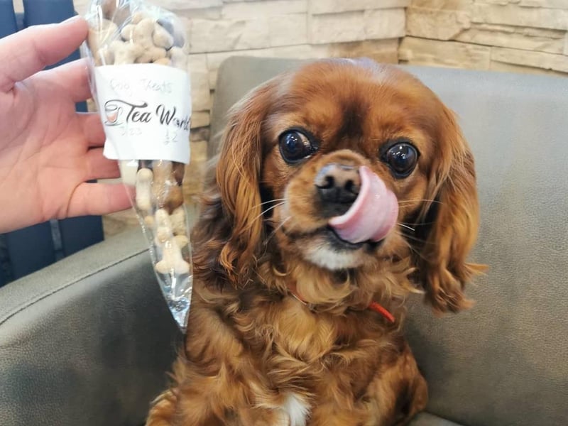 Tea World, 6 Common Edge Rd, Blackpool FY4 5AU. Dogs are always welcome here, and can enjoy a range of luxury treats in the cosy cafe.
Coffee, cakes and a wide range of exotic teas available. https://www.restaurantji.co.uk/lancashire/blackpool/tea-world-/