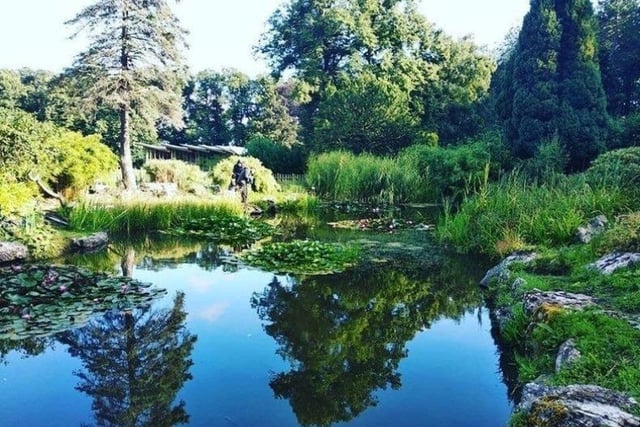 Take a stroll around the gorgeous Avenham and Miller Parks in Preston or one of the other beautiful parks in Lancashire