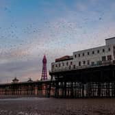 Blackpool Pier owner Peter Sedgewick says efforts have been made to combat the huge numbers of birds gathering on and underneath North Pier.  Sea birds, in particular, have been linked to localised pollution by the Environment Agency