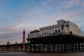Blackpool Pier owner Peter Sedgewick says efforts have been made to combat the huge numbers of birds gathering on and underneath North Pier.  Sea birds, in particular, have been linked to localised pollution by the Environment Agency
