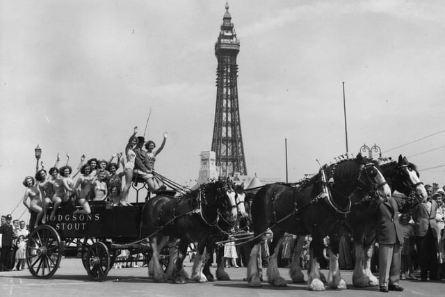 A group of bathers getting a lift on a dray pulled by four of London Brewery's Clydesdale Shire horses who have arrived in Blackpool for the Royal Sho, July 1953