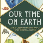 Our Time on Earth by Lily Murray and Jesse Hodgson