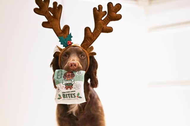 A study of 2,000 dog owners in the UK revealed nine in 10 are likely to buy their dog a Christmas present this year