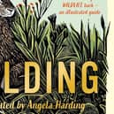 Wilding: How to Bring Wildlife Back – An Illustrated Guide  by Isabella Tree and Angela Harding