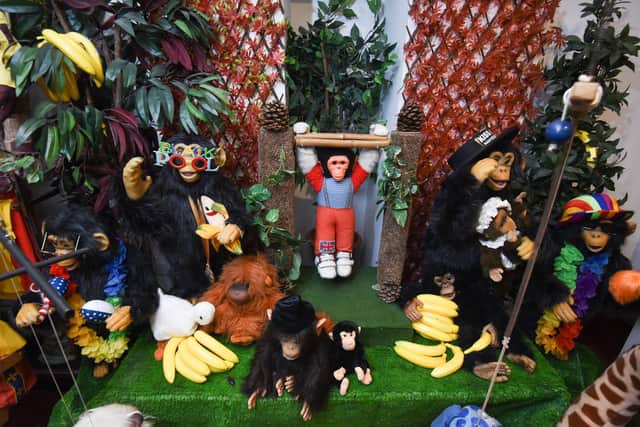 Martin Price is opening his Museum of Puppetry at Pelham Lodge to the public this Easter