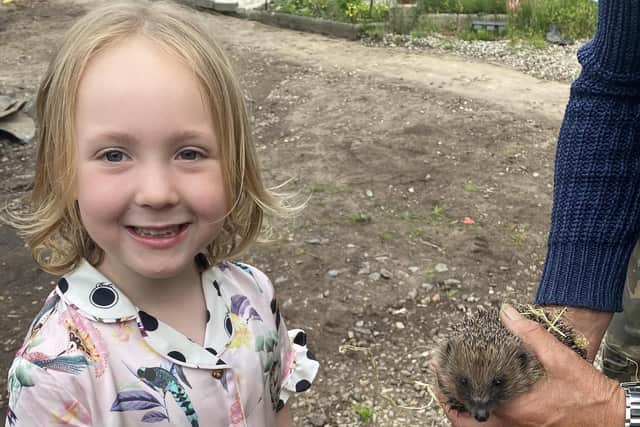 Hannah Knock, aged five, with little Rainbow the hedgehog