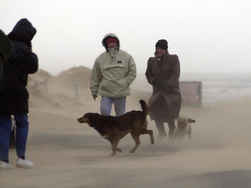 Wind whipping up the sands at Starr Gate - a familiar sight