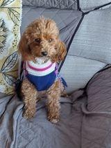 Three-year-old Maggie.