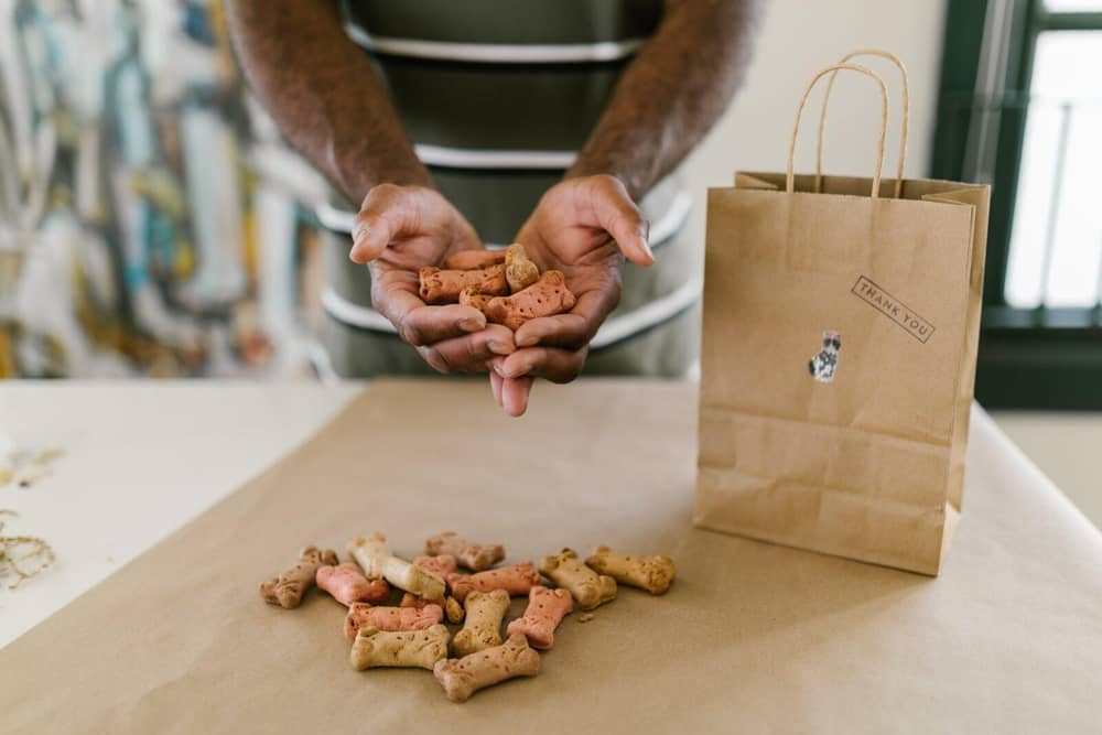 Ingredients that should be avoided in your pet's dog food. Photo: Pexels