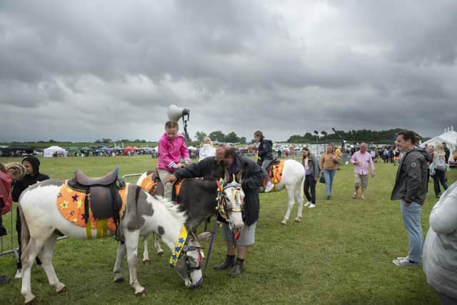 Donkey rides are among the attractions at the Fylde Vintage and Farm Show