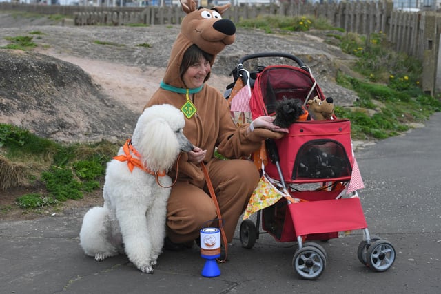 One of Alison's dogs has to use a pushchair