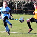 B&DYFL cup action between YMCA Panthers U9s and CN Blues Picture: KAREN TEBBUTT