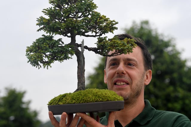 Gavin Hartley and his prize winning bonsai