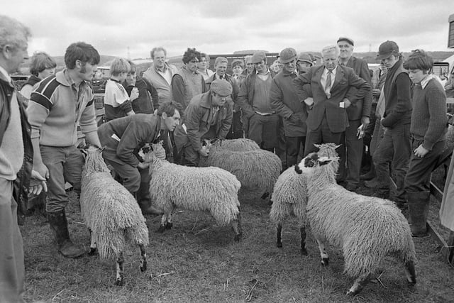 This crowd are inspecting an exhibit into the annual Garstang Show