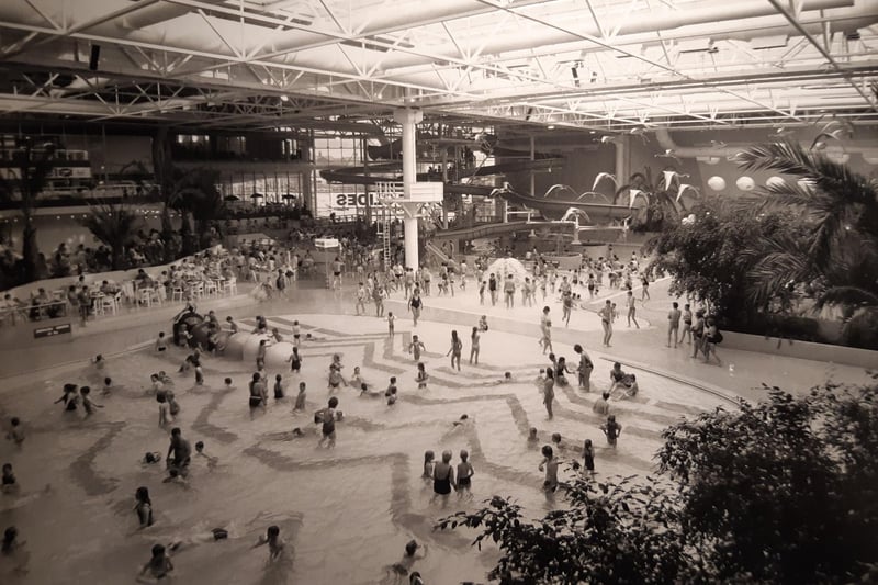 A packed Sandcastle in the late 80s. It has changed almost beyond recognition. The wave pool, two slides, terraces, palm trees and a constant temperature of 84 degrees was how it all started. Remember the exotic flamingos flying above?
