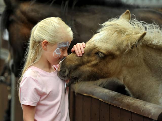 Freya Smith, eight, with Geoff the pony at an earlier family fun open day at Penny Farm World Horse Welfare Centre
