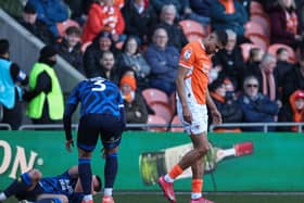 Ashley Fletcher