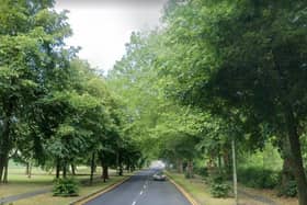 If any trees lining Lancashire highways like Blackpool Road in Preston need to be removed, they will now be replaced - either in the same spot or another planted elsewhere (image: Google)