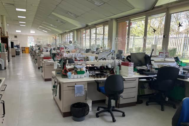 The studio at the National Artificial Eye Service in Blackpool where the prostheses are created.