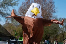 Blackpool Gazette reporter Richard Hunt dressed up as the seagull deterrent at Blackpool Zoo does his best to scare away seagulls. Photo: Kelvin Stuttard