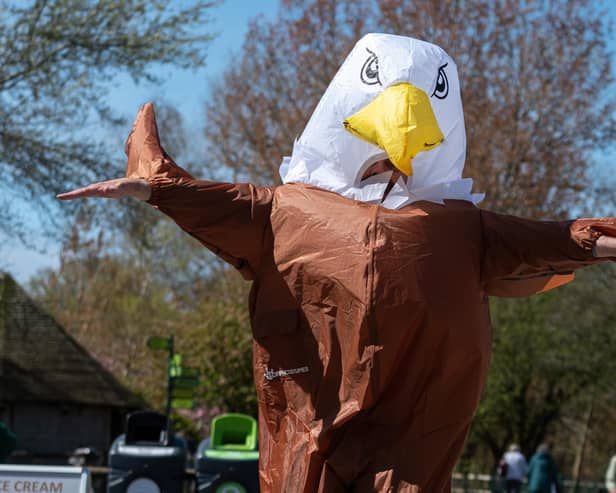 Blackpool Gazette reporter Richard Hunt dressed up as the seagull deterrent at Blackpool Zoo does his best to scare away seagulls. Photo: Kelvin Stuttard
