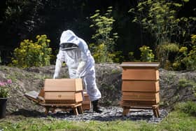 Park ranger supervisor Kara Dyson with the bees kept at Revoe Park Community Gardens