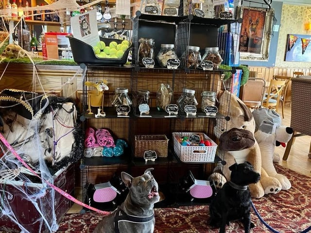 Often when you take your pooches for lunch you might take a few treats in your pocket to keep them quiet - here at the Bellflower they have you covered! A creative yet unusual mix of treats to choose from, we were assured by staff each of the snacks are completely natural. They may be smelly but they definitely are not artificial. A mix of turkey necks, pig snouts, cow liver, rabbit ears and more, the dogs definitely aren't cut short on options for a 'healthy' snack.