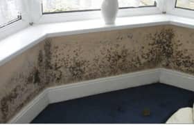Mould is found throughout the home,  but steps can be taken to prevent damage. Photo: HG